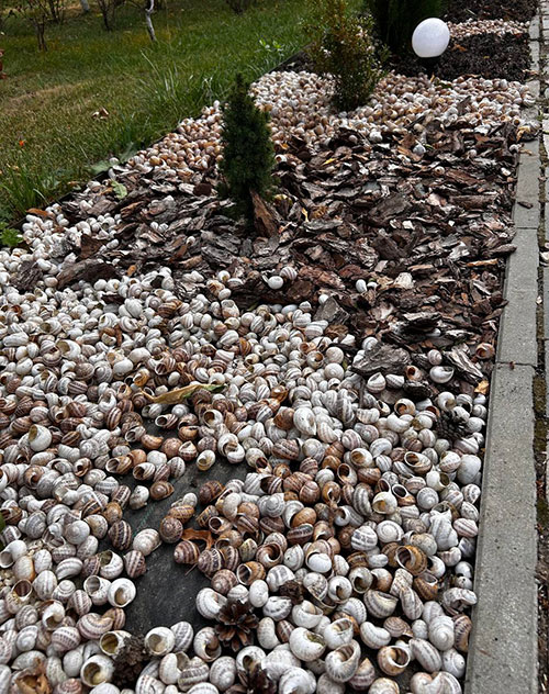 2024.09.11 Ravlikova ferma1