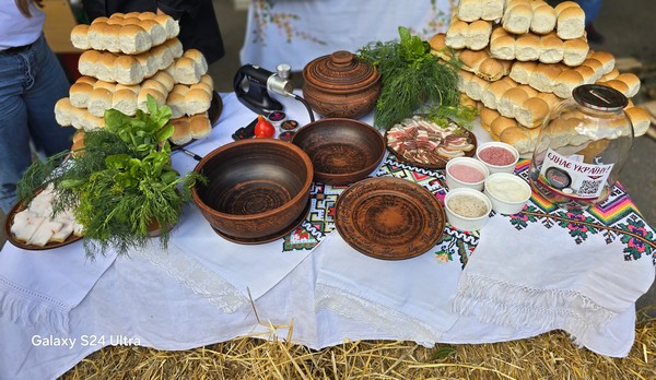 20250628.borsch2