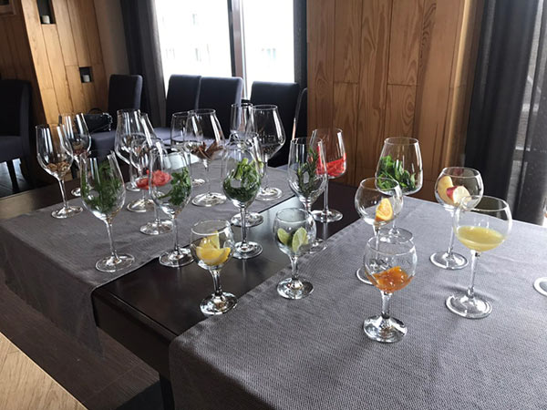 2019.04.10_Prakt_GRS_Vinograd_Radchuk4