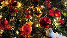 2020.12.30_Tradicii_Novogo_roku